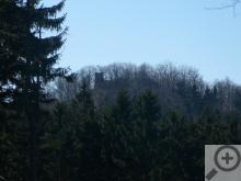 Silueta prokukující skrz stromy je zřícenina hradu Herštejn