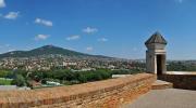 Nitra