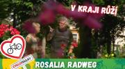 Rosalia Radweg: Burgenland jako kraj růží