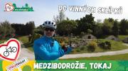 Modzibodrožie a Tokaj: Do vinných sklepů!