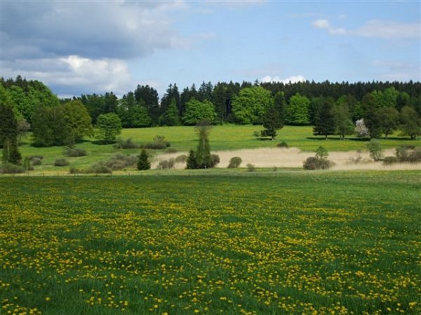 Rybník Rybník