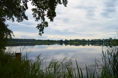 Veselí nad Lužnicí