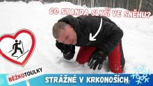 Běžkotoulky: Strážné - Krkonoše, jsme tu!