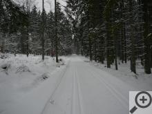 Kvalitně upravené stopy jsou po celé trase