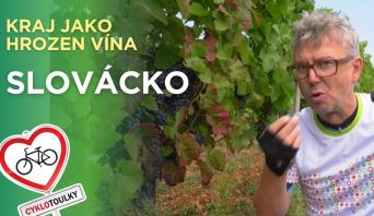 Cyklotoulky: Slovácko – Na kole mezi vinicemi a sklípkem
