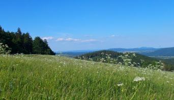 Slovácko